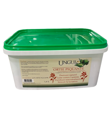 Ortie piquante - UNGULA