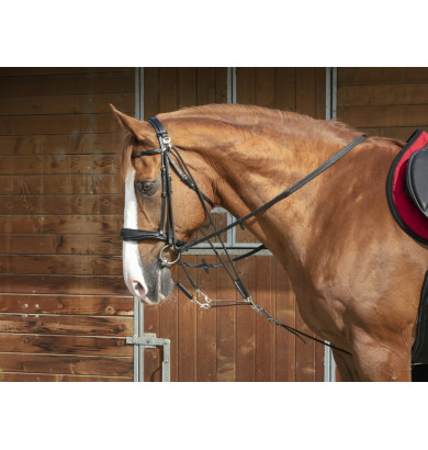 Gogue à poulies - NORTON PRO