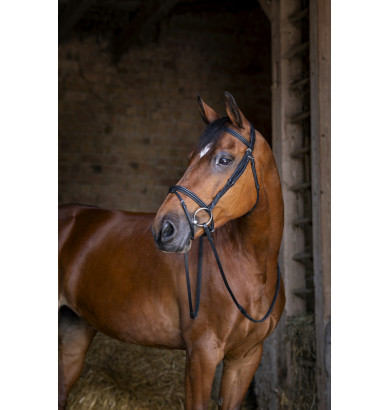 Bridon hybrid confort -...