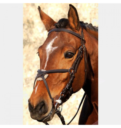 Bridon pavin - RICHTAN