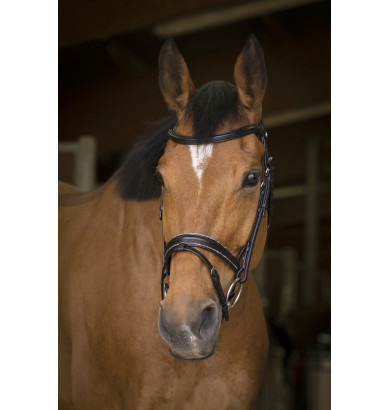 Bridon Rock - NORTON PRO