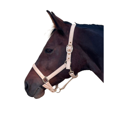 Licol Malibu - CANTER