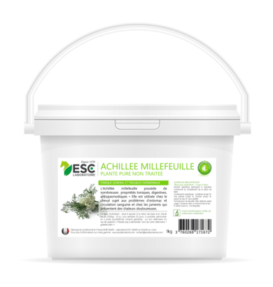 Achillée Millefeuille - ESC...