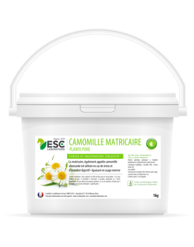 Camomille matricaire - ESC LABORATOIRE