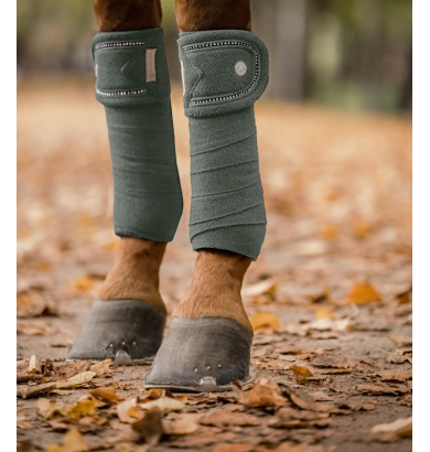 Bandes polaires Nepal -...