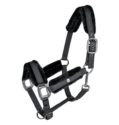 Licol Phoenix - WALDHAUSEN