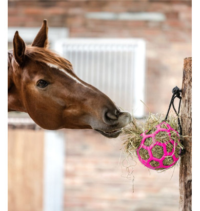 Balle à foin - WALDHAUSEN