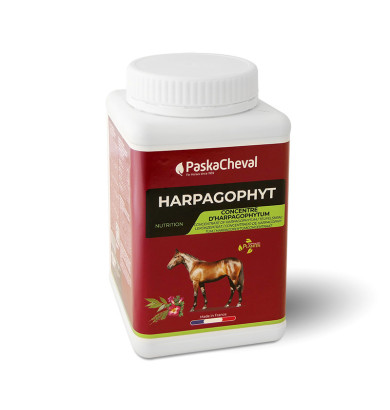 Harpagophyt 1 kg - PASKACHEVAL