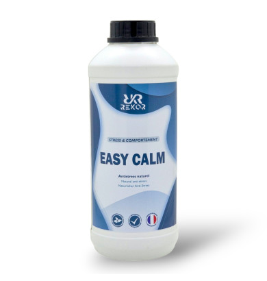 Easy calm Rekor