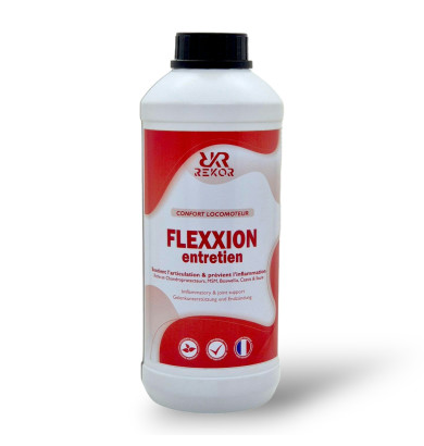 Flexxion entretien Rekor