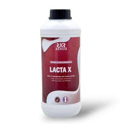 Lacta x Rekor