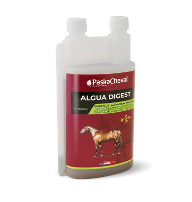 Algua digest 1l