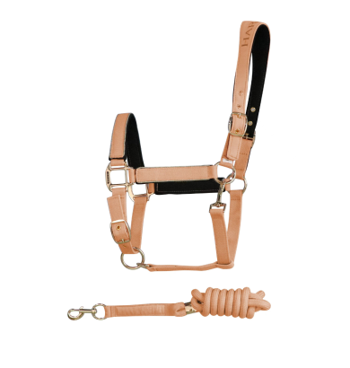 Hansy Licol et Longe - HARCOUR