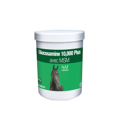 Glucosamine 10.000 + MSM...