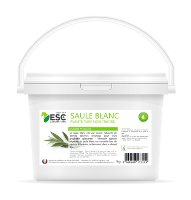 Saule blanc - ESC LABORATOIRE