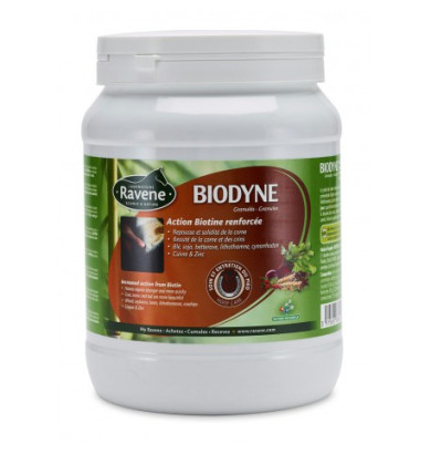 Biodyne - RAVENE