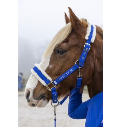 Teschic Licol et longe -...