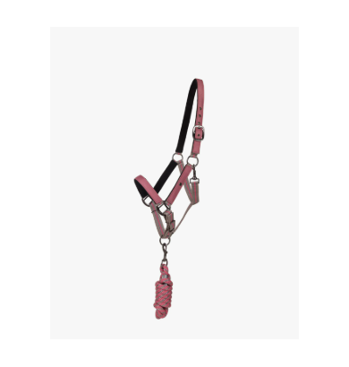 DUO LICOL ET LONGE TURNOUT...