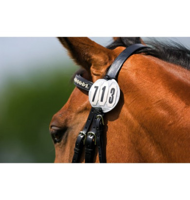 Numéro de départ - EQUITHEME