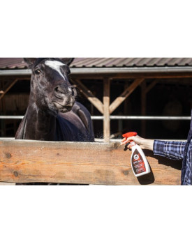 Spray anti rognement - LEOVET
