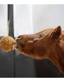 Granola Stall-ball - LIKIT