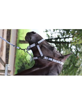 Longe d'attache Midnight - LAMI-CELL