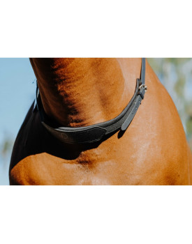 Collier de monte à cru - NORTON