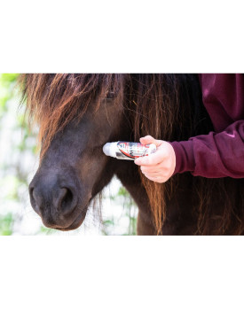 Power Phaser Rollon 75ml - LEOVET