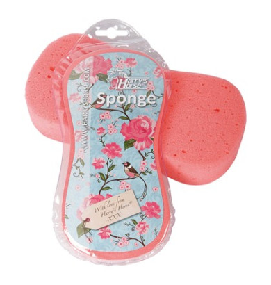 Eponge magic - HARRY'S HORSE