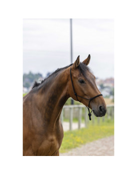 Licol corde fin - RIDING WORLD