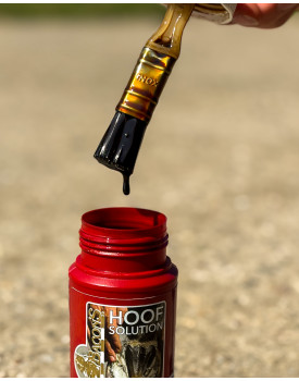 Hoof Solution - KEVIN BACON'S