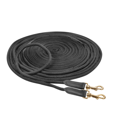 Longe double -  WALDHAUSEN