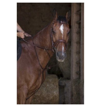 Martingale anneaux - NORTON...