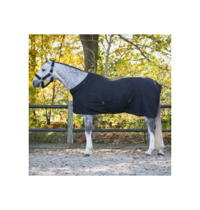 Couverture de show Zahra - QHP