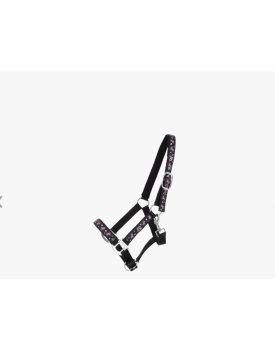 Licol Lize - QHP