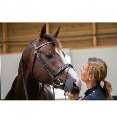 Bridon Daily - PENELOPE