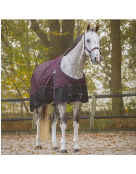 Couverture turnout Collection 300gr - QHP