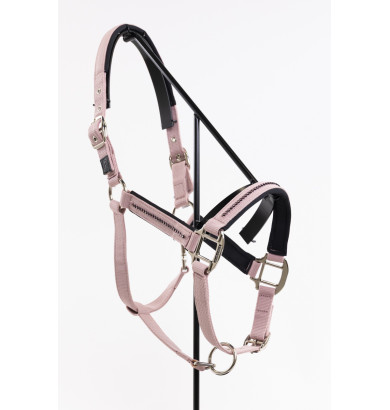 Amour Licol et longe - HARCOUR