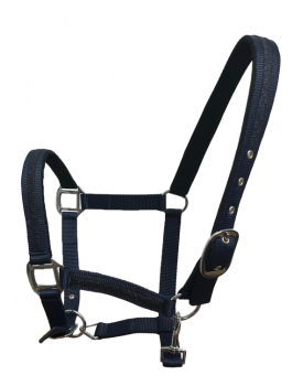 Set de licol et longe Atamik - FLAGS & CUP