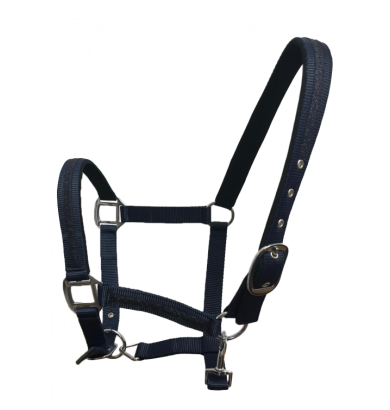 Set de licol et longe...