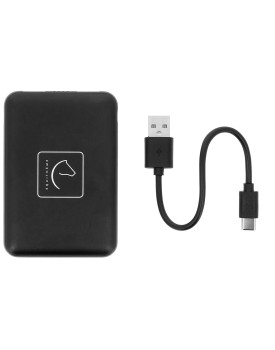 Batterie 5000MAH - EQUITHEME