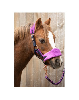 LICOL ET LONGE LOULOU ROYCE