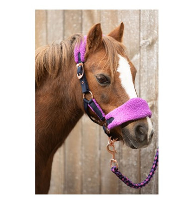 LICOL ET LONGE LOULOU ROYCE