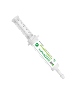 HIPPOTROLYTE FLASH 60ML