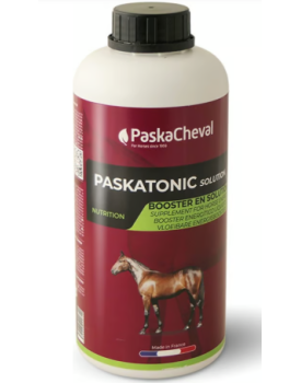 PASKATONIC SOLUTION (1L)