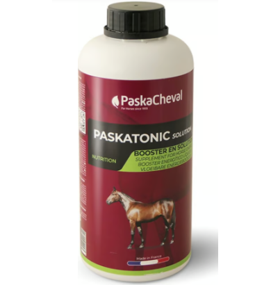 PASKATONIC SOLUTION (1L)