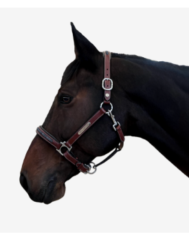 LICOL AACHEN FLAGS AND CUP