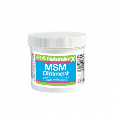 MSM Ointment Naturalintx - NAF