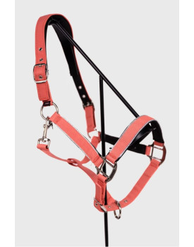 Bamara Licol - HARCOUR