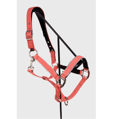 Bamara Licol - HARCOUR